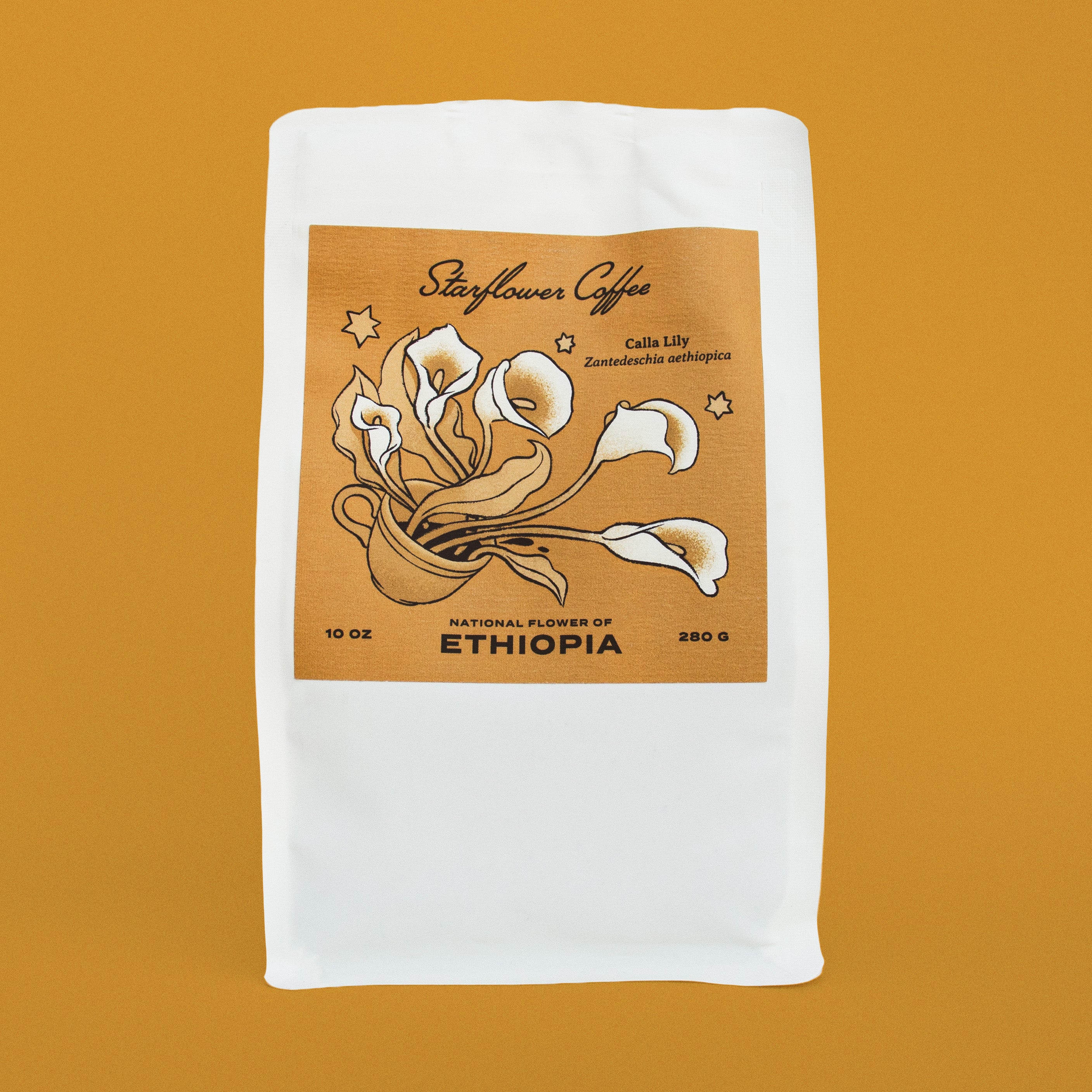 Shakiso Gigesa Station: Ethiopian coffee