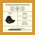Wholesale: Ethiopia Shakiso Gigesa Natural