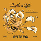 Wholesale: Ethiopia Shakiso Gigesa Natural