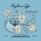 Finca El Jardin: Honduras Anaerobic Natural