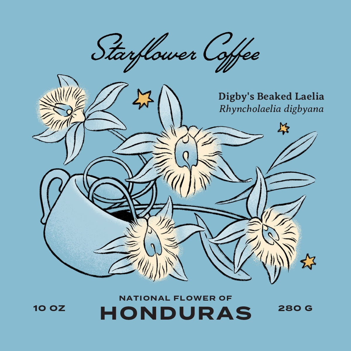 Finca El Jardin: Honduras Anaerobic Natural