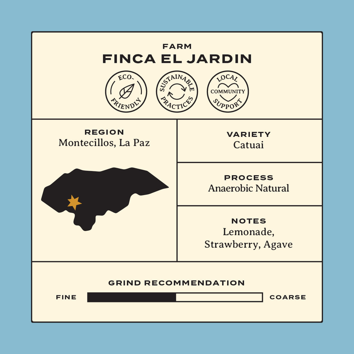 Finca El Jardin: Honduras Anaerobic Natural