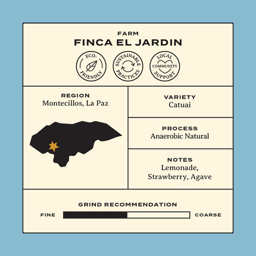 Finca El Jardin: Honduras Anaerobic Natural